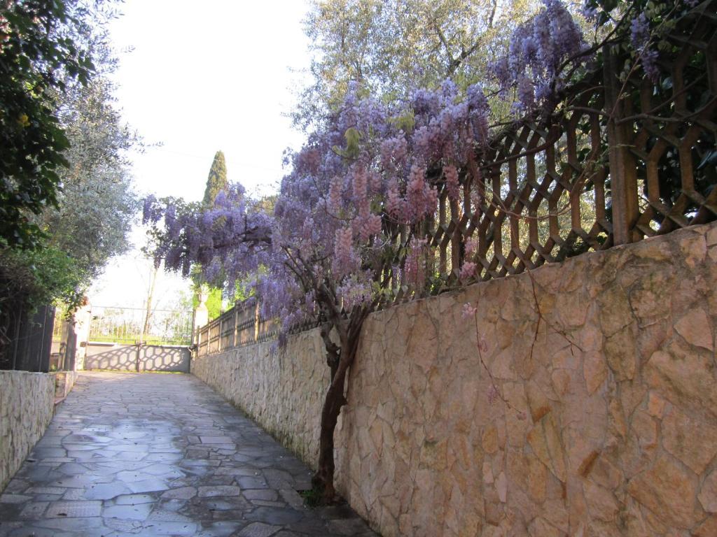 B&B Al Calcandola Сарцана Экстерьер фото